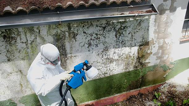 Trusted Crawl Space Mold Removal service in Mount Wolf, PA - Cheap Mold Removal